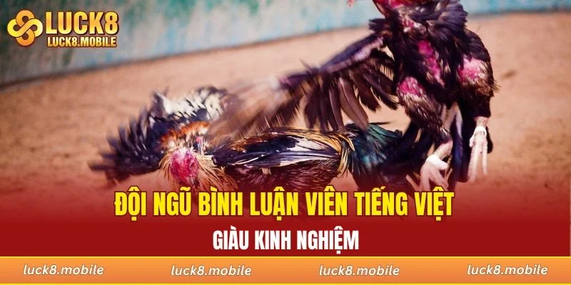 Đội ngũ bình luận viên tiếng Việt giàu kinh nghiệm